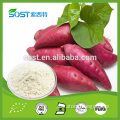 Factory supply well sold purple sweet potato powder with free sample